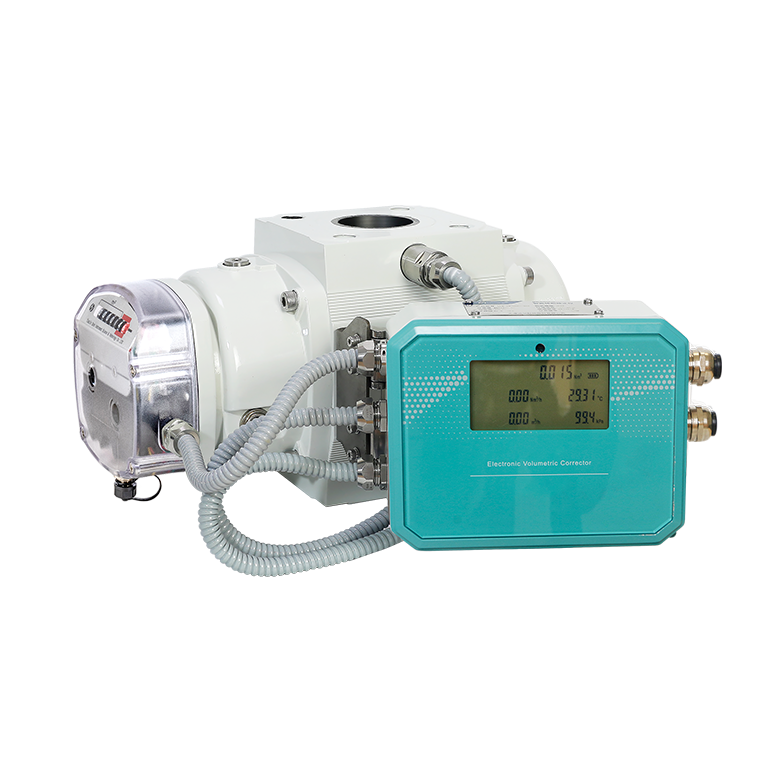 Gas Roots Flow Meter